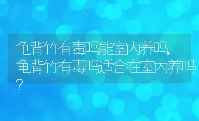 龟背竹有毒吗能室内养吗,龟背竹有毒吗适合在室内养吗？ | 养殖常见问题