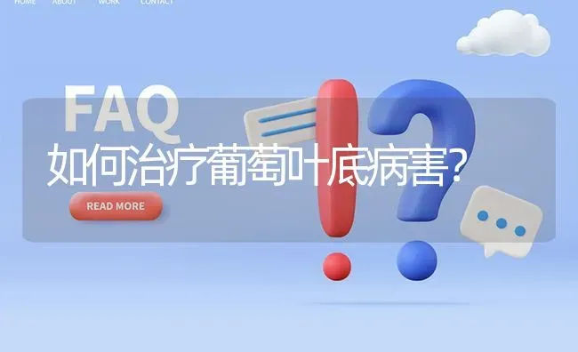 如何治疗葡萄叶底病害? | 养殖问题解答