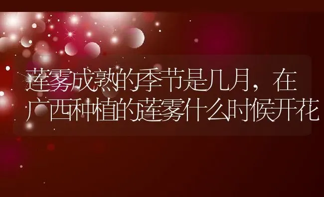 莲雾成熟的季节是几月,在广西种植的莲雾什么时候开花 | 养殖常见问题
