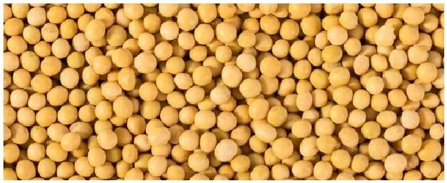 黄豆除草剂有哪些 | 农业答疑