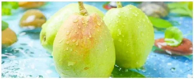 红香酥梨什么时候成熟 | 科普知识