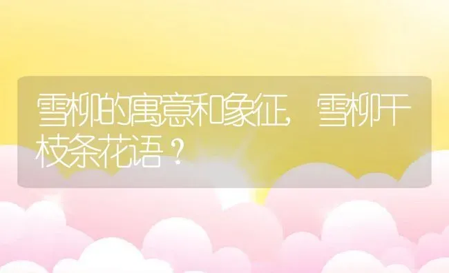 雪柳的寓意和象征,雪柳干枝条花语？ | 养殖常见问题
