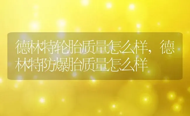 德林特轮胎质量怎么样,德林特防爆胎质量怎么样 | 养殖常见问题