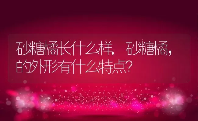 砂糖橘长什么样,砂糖橘，的外形有什么特点？ | 养殖常见问题