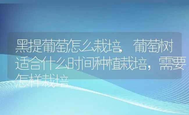 黑提葡萄怎么栽培,葡萄树适合什么时间种植栽培，需要怎样栽培 | 养殖常见问题