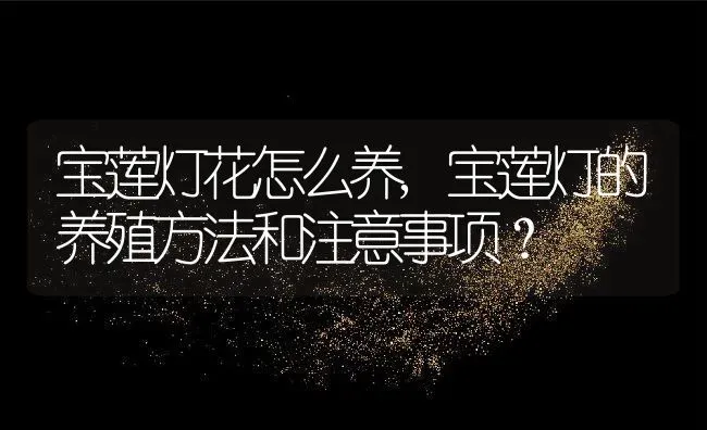 宝莲灯花怎么养,宝莲灯的养殖方法和注意事项？ | 养殖常见问题