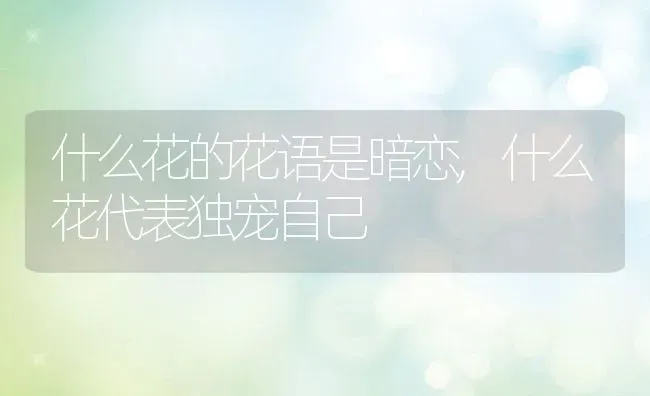 什么花的花语是暗恋,什么花代表独宠自己 | 养殖常见问题