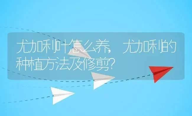 尤加利叶怎么养,尤加利的种植方法及修剪？ | 养殖常见问题