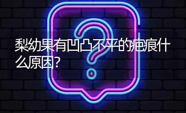 梨幼果有凹凸不平的疤痕什么原因? | 养殖问题解答