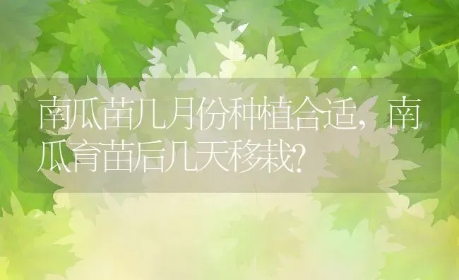 南瓜苗几月份种植合适,南瓜育苗后几天移栽？ | 养殖常见问题