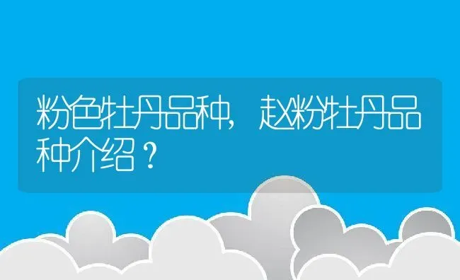 粉色牡丹品种,赵粉牡丹品种介绍？ | 养殖常见问题