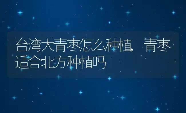 台湾大青枣怎么种植,青枣适合北方种植吗 | 养殖常见问题