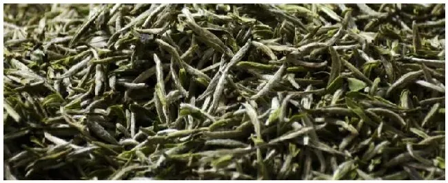 白茶有哪些产地 | 农业答疑