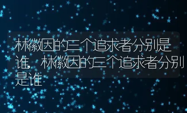 林徽因的三个追求者分别是谁,林徽因的三个追求者分别是谁 | 养殖常见问题
