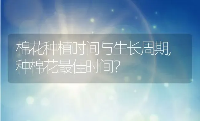 棉花种植时间与生长周期,种棉花最佳时间？ | 养殖常见问题