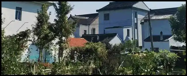 美国鹧鸪养殖技术 | 科普知识