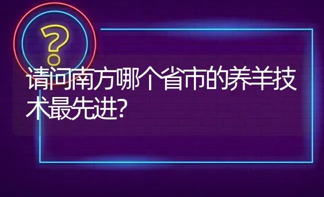 请问南方哪个省市的养羊技术最先进? | 养殖问题解答