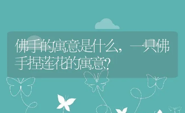 佛手的寓意是什么,一只佛手捏莲花的寓意？ | 养殖常见问题