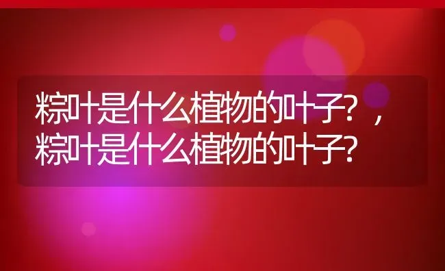 粽叶是什么植物的叶子?,粽叶是什么植物的叶子? | 养殖常见问题