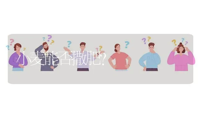 小麦能否撒肥? | 养殖问题解答