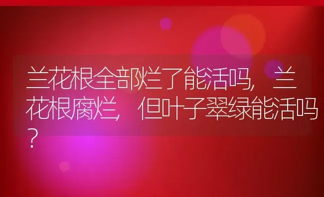 兰花根全部烂了能活吗,兰花根腐烂,但叶子翠绿能活吗？ | 养殖常见问题