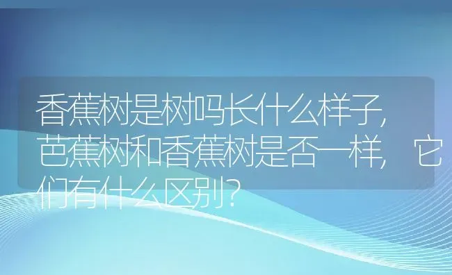 香蕉树是树吗长什么样子,芭蕉树和香蕉树是否一样,它们有什么区别？ | 养殖常见问题