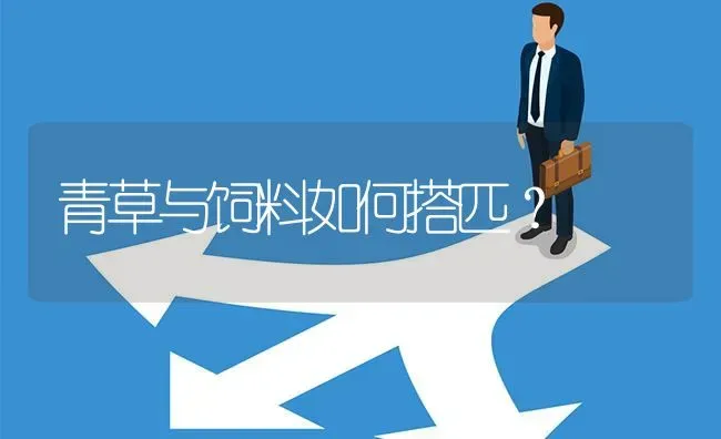 青草与饲料如何搭匹? | 养殖问题解答
