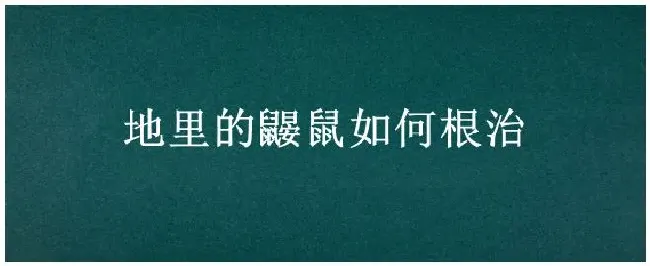 地里的鼹鼠如何根治 | 农业答疑