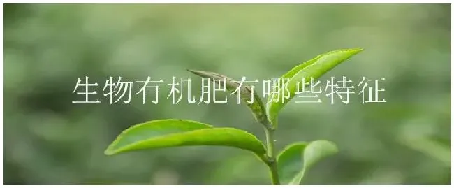 生物有机肥有哪些特征 | 农业问题