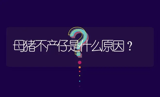 母猪不产仔是什么原因? | 养殖问题解答