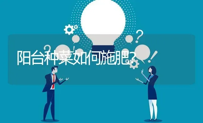 阳台种菜如何施肥? | 养殖问题解答