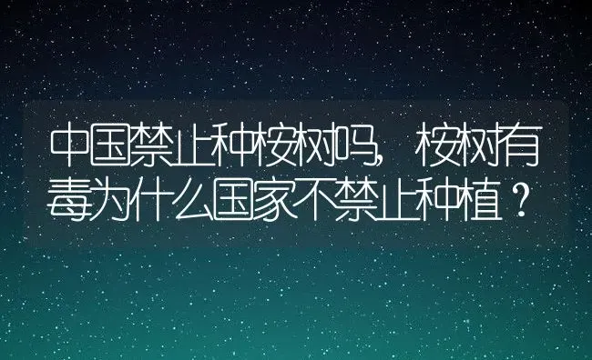 中国禁止种桉树吗,桉树有毒为什么国家不禁止种植？ | 养殖常见问题