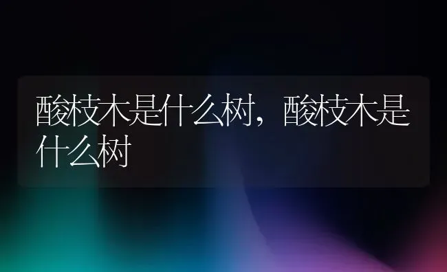 酸枝木是什么树,酸枝木是什么树 | 养殖常见问题