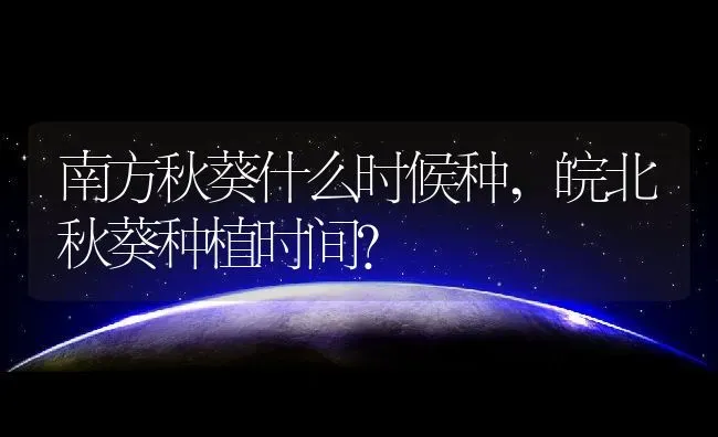 南方秋葵什么时候种,皖北秋葵种植时间？ | 养殖常见问题