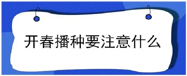 开春播种要注意什么 | 农业答疑