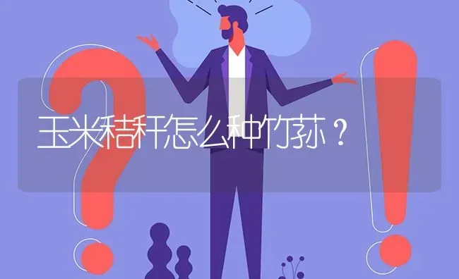 玉米秸秆怎么种竹荪? | 养殖问题解答