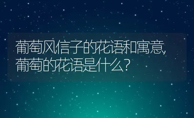 葡萄风信子的花语和寓意,葡萄的花语是什么？ | 养殖常见问题