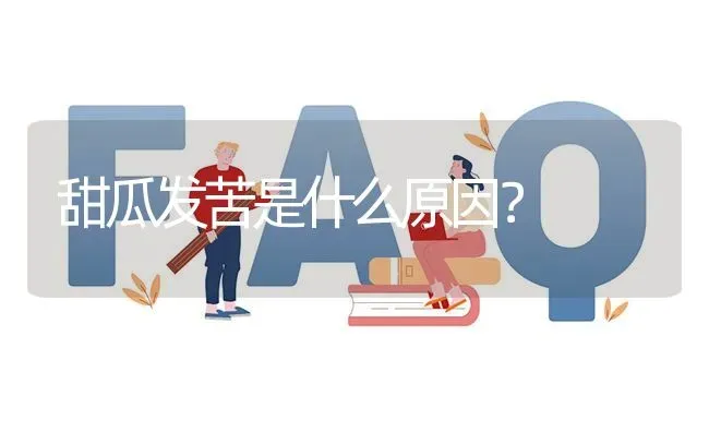 甜瓜发苦是什么原因? | 养殖问题解答