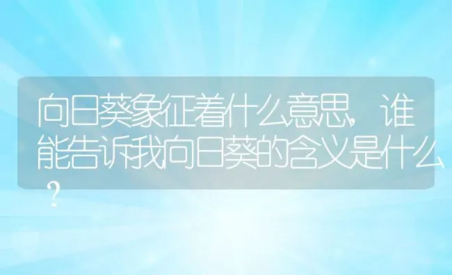 向日葵象征着什么意思,谁能告诉我向日葵的含义是什么？ | 养殖常见问题