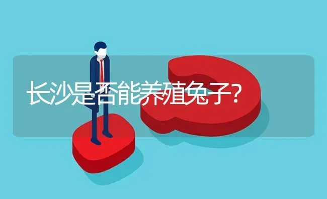 长沙是否能养殖兔子? | 养殖问题解答