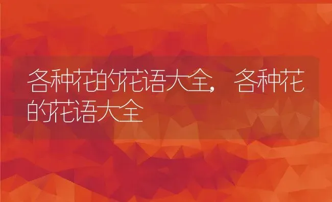 各种花的花语大全,各种花的花语大全 | 养殖常见问题