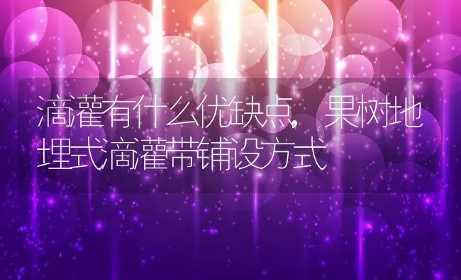 滴灌有什么优缺点,果树地埋式滴灌带铺设方式 | 养殖常见问题