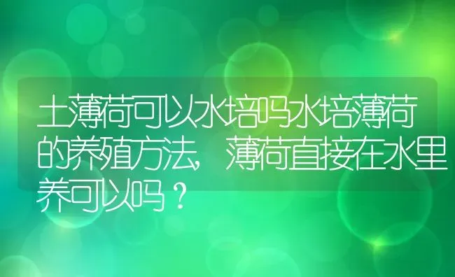土薄荷可以水培吗水培薄荷的养殖方法,薄荷直接在水里养可以吗？ | 养殖常见问题
