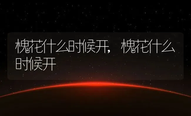 槐花什么时候开,槐花什么时候开 | 养殖常见问题