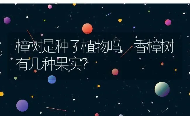 樟树是种子植物吗,香樟树有几种果实？ | 养殖常见问题