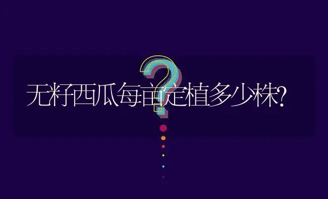 无籽西瓜每亩定植多少株? | 养殖问题解答