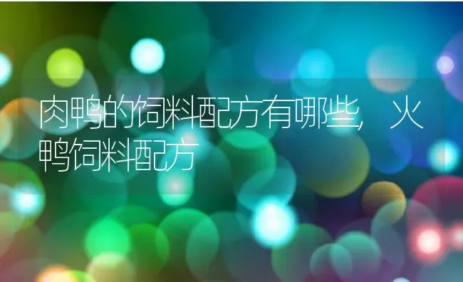 肉鸭的饲料配方有哪些,火鸭饲料配方 | 养殖常见问题