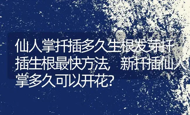 仙人掌扦插多久生根发芽扦插生根最快方法,新扦插仙人掌多久可以开花？ | 养殖常见问题