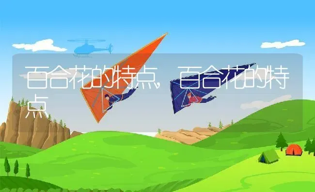 百合花的特点,百合花的特点 | 养殖常见问题