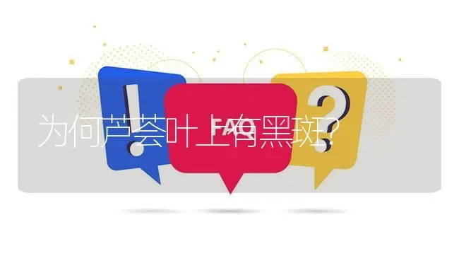 为何芦荟叶上有黑斑? | 养殖问题解答